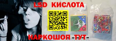 крисы Кулебаки