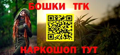 крисы Кулебаки