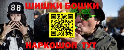 крисы Кулебаки