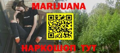 крисы Кулебаки