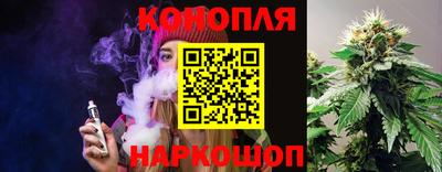 крисы Кулебаки