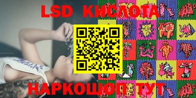 крисы Кулебаки