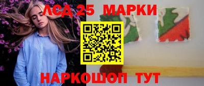 крисы Кулебаки