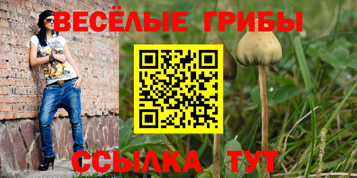 Фролово  Галлюциногенные грибы мицелий  Псилоцибиновые грибы Magic Shrooms  Вход с VPN 